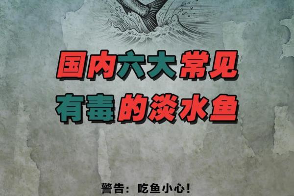 梦到吃鱼(梦到吃鱼什么预兆)