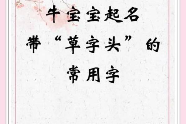 草字头的字女孩名字有哪些(草字头的字女孩名字有哪些好听) 草字头的字女孩名字有哪些(草字头的字女孩名字有哪些好听)