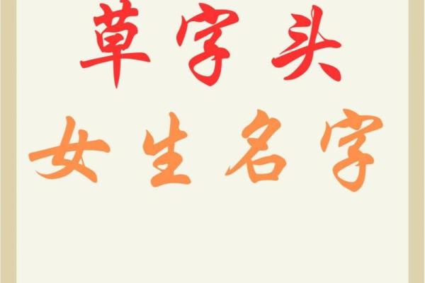 草字头的字女孩名字有哪些(草字头的字女孩名字有哪些好听) 草字头的字女孩名字有哪些(草字头的字女孩名字有哪些好听)