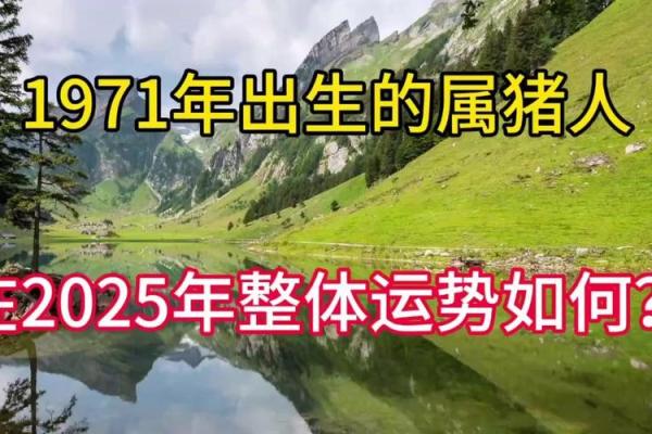 1971年属猪人公司取名(属猪的人公司名字) 1971年属猪人公司取名(属猪的人公司名字)
