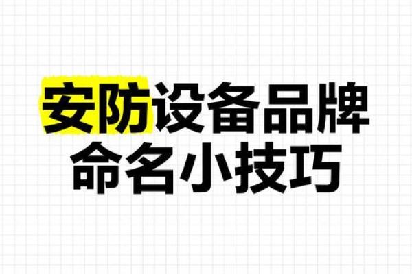 安防类公司起名(最霸气的安防公司名字)