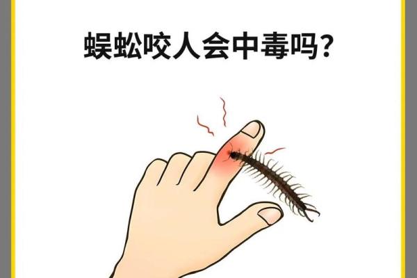 梦到蜈蚣是什么征兆 女性(梦见蜈蚣是什么意思)