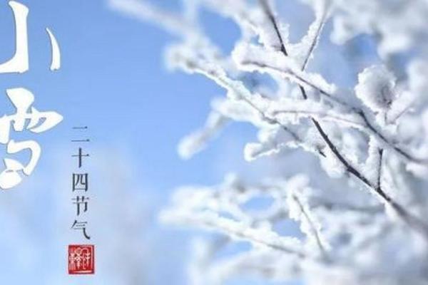 梦到下雪是什么征兆 女性(梦到下雨是什么征兆 女性)