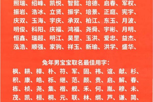 2023年兔年男孩名字寓意好的名字(2023年兔宝宝取名字最佳字)