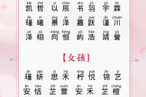 2023年兔年男孩名字寓意好的名字(2023年兔宝宝取名字最佳字)