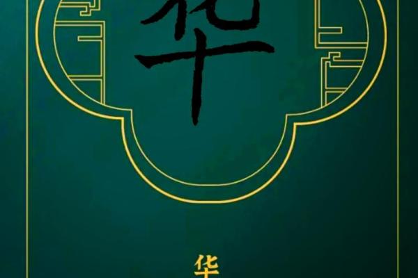 华起名字大全男孩名字(华字取名字大全)