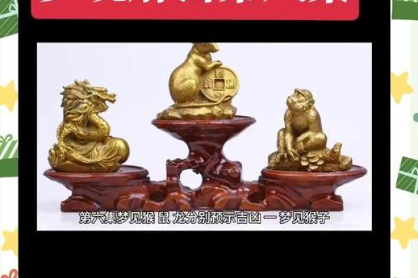 梦见老鼠是什么征兆(梦见抓老鼠是什么预兆) 梦见老鼠是什么征兆(梦见抓老鼠是什么预兆)