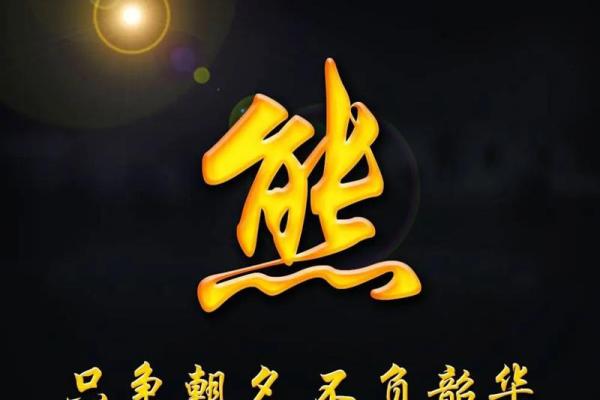 姓熊的女孩名字高雅三个字(姓熊的女孩名字高雅四字)