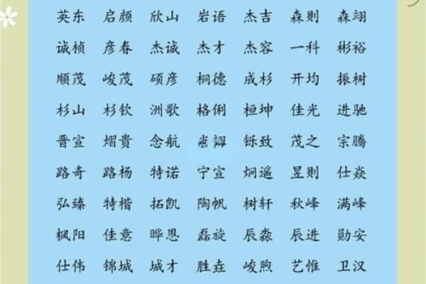 简单大气的名字男孩(简单大气的名字男孩两个字)