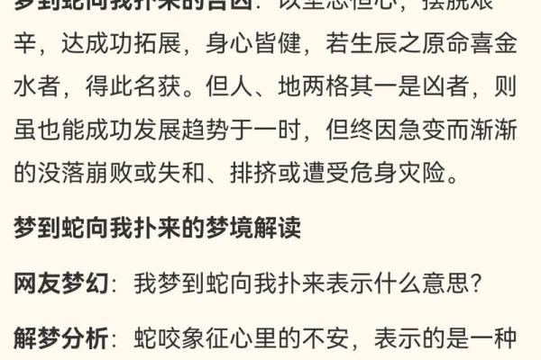梦见很多蛇是什么意思(梦见很多蛇是什么意思 周公解梦)