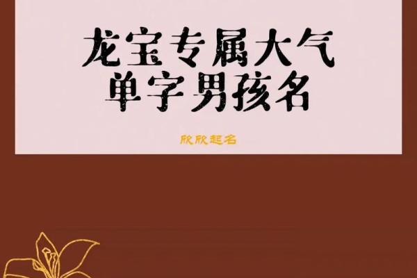男孩沉稳大气名字单字(男孩子好听又高雅单字)