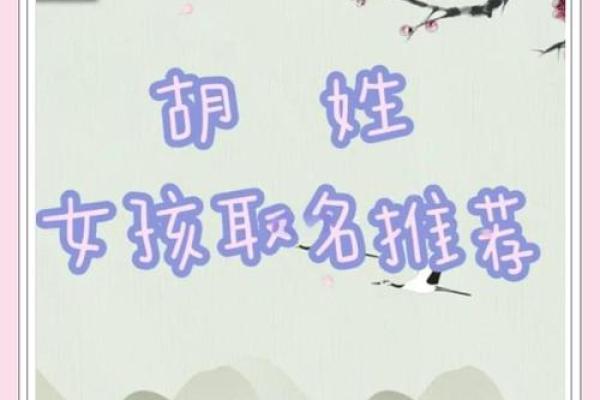 胡姓女孩大气有涵养的名字(胡姓女孩大气有涵养的名字带春) 胡姓女孩大气有涵养的名字(胡姓女孩大气有涵养的名字带春)