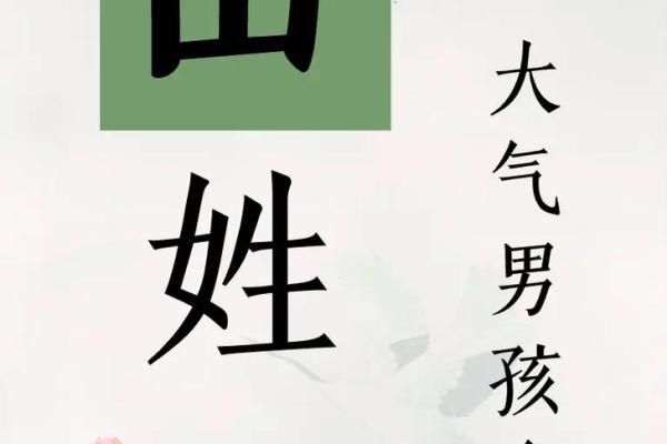 田的名字女孩名字三个字(田取名三个字)