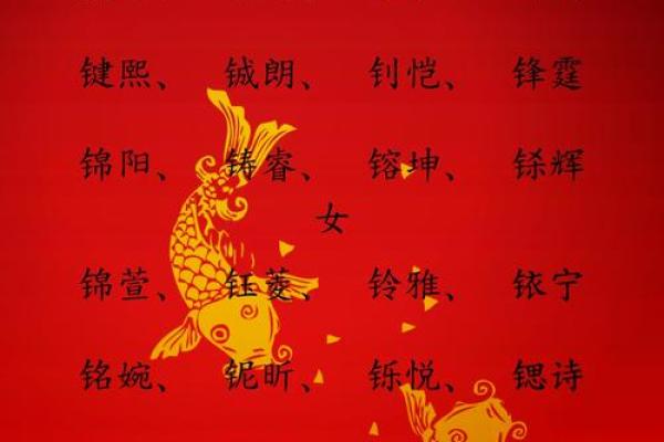 金字名字大全女孩名字(金字名字女孩名字)