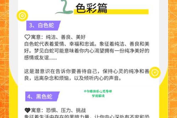 梦见毒蛇是什么预兆(梦见毒蛇是什么预兆解梦)
