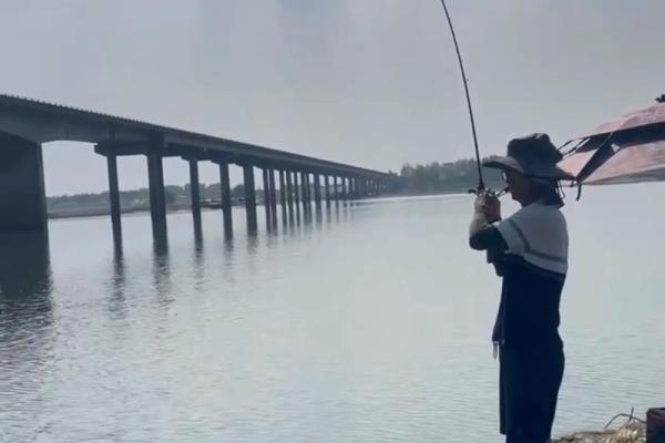 梦见钓鱼(梦见钓鱼是什么预兆 男性)