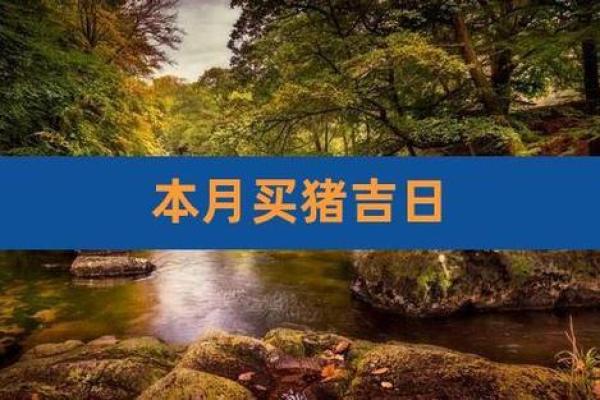 黄道吉日2025年3月生肖猪乔迁最好的日子