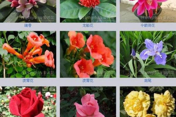 男生在公司用什么花名好(公司起花名男的大全) 男生在公司用什么花名好(公司起花名男的大全)