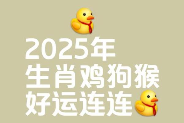 2025年3月生肖鸡安门吉日精选指南(2025年属鸡人的全年运势)