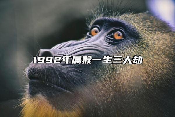 92年属猴的开公司起名怎么起(92年属猴取什么艺名)
