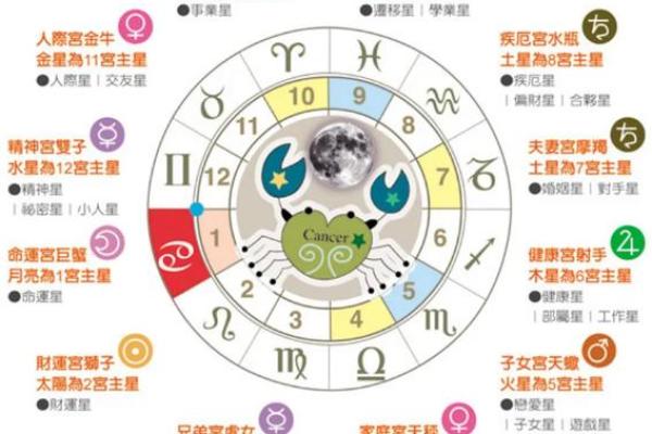 10宫巨蟹座的事业(巨蟹座落在第十宫)