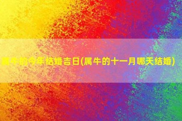 97年23年结婚吉日