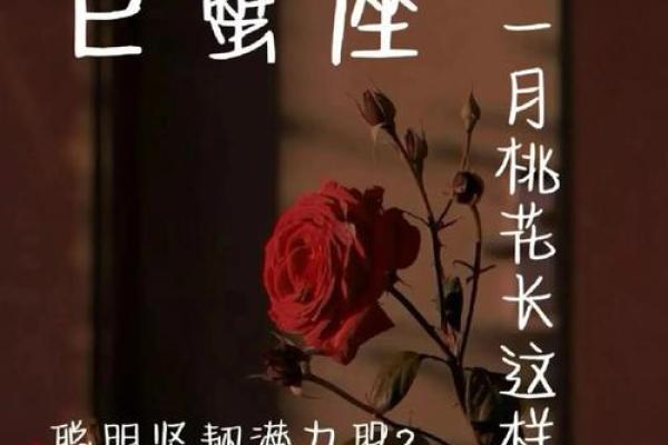 巨蟹座今日桃花运势(巨蟹座今日运势第一星座网)