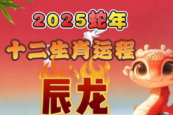 2025年3月份生肖龙安门好吉日分享 2025年出生属龙什么命(2025年生肖龙的全年运势)
