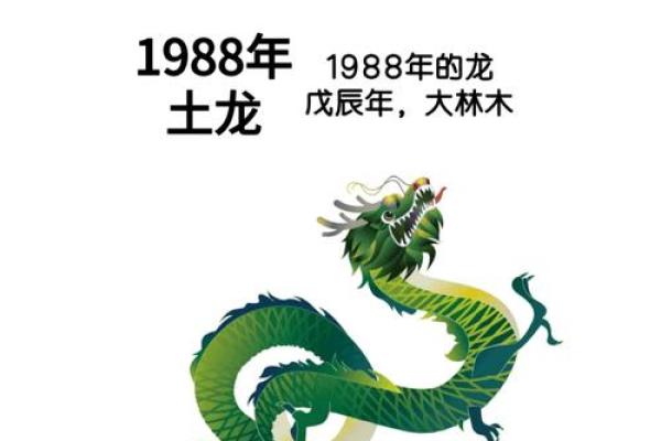 2025年3月份生肖龙安门好吉日分享 2025年出生属龙什么命(2025年生肖龙的全年运势)