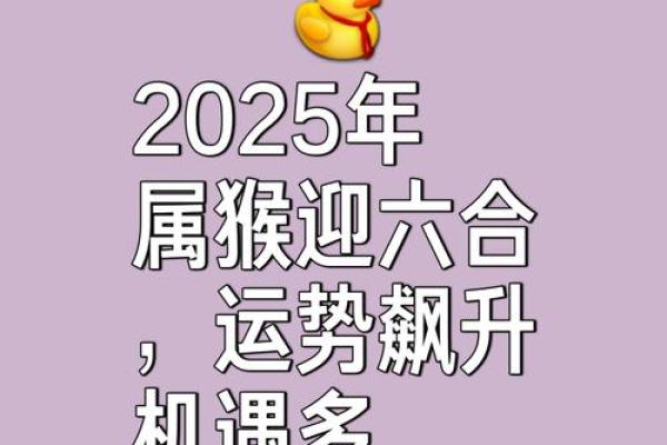 2025男猴领证吉日(2020属猴领证黄道吉日)