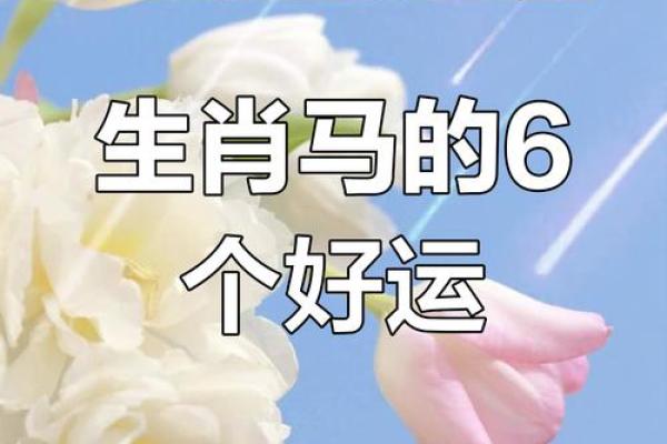 11月属马结婚吉日(农历十一月属马的婚姻怎么样)
