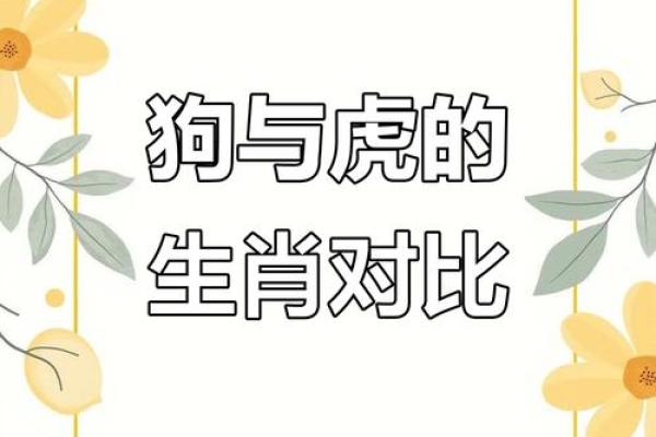 94狗98龙结婚吉日 94狗98龙结婚吉日