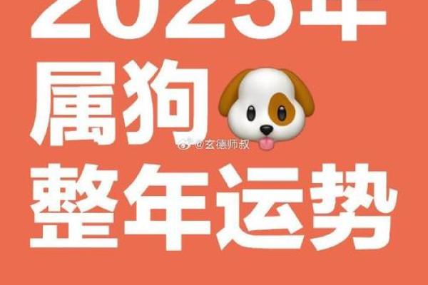 2025年3月属狗安门黄道吉日一览表最佳日期全解析(属狗在2025年运势怎么样)