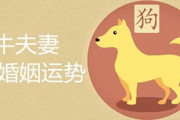 97和94年的结婚吉日