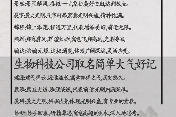 瓷都取名网免费取名公司取名(瓷都取名网公司起名个人取名)