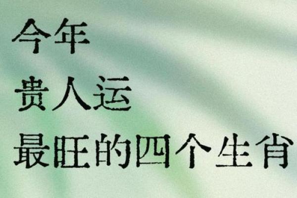 2025年生肖马适合安门的好日子推荐 2025年属马人的全年运势详解(2025年属马人的全年每月运势)