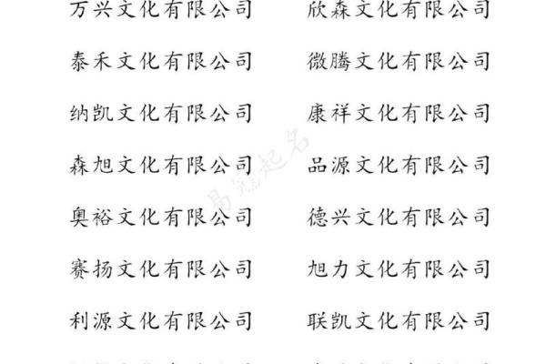 公司名称怎么起名(公司名称怎么起名好听)