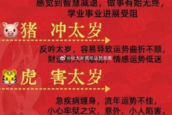 2025马狗结婚吉日(属马属狗结婚今年有日子吗) 2025马狗结婚吉日(属马属狗结婚今年有日子吗)