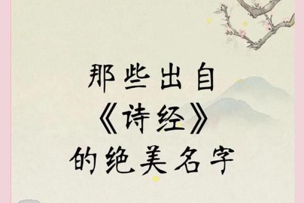诗经中好听的公司名字(诗经取公司名称)
