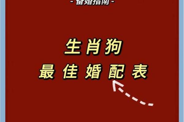 1994年属狗2025结婚吉日(1994年属狗2022年结婚好不好)