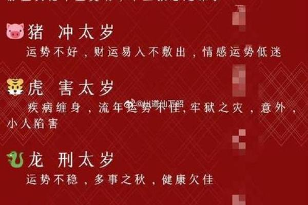 19年属猪结婚吉日(2019年属猪人的婚姻) 19年属猪结婚吉日(2019年属猪人的婚姻)