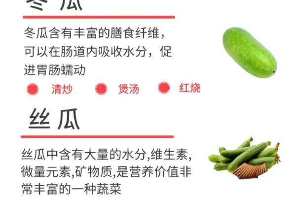 好听的蔬菜公司名字(蔬菜公司名称)