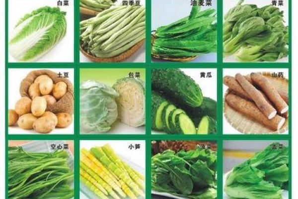 好听的蔬菜公司名(好听的蔬菜公司名字) 好听的蔬菜公司名(好听的蔬菜公司名字)