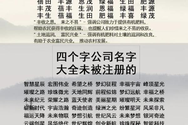公司起名参考(装饰公司起名参考)