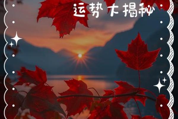 2025年属虎理发黄道吉日(2025年2月2属虎的可以理发吗)