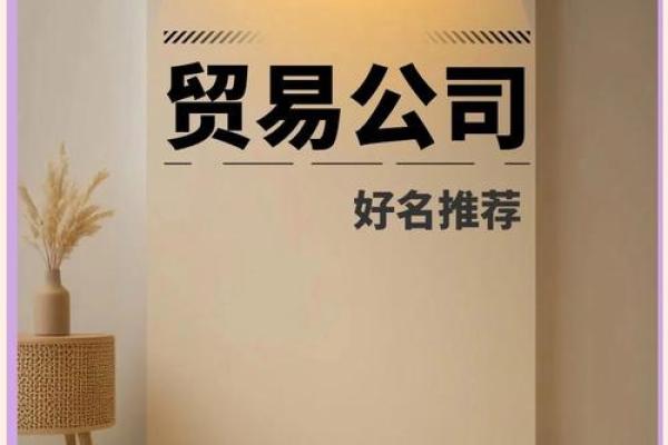 取贸易公司名字(取贸易公司名字里带有晗字)