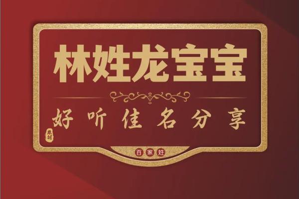 带林字的公司名字(含林公司名字)