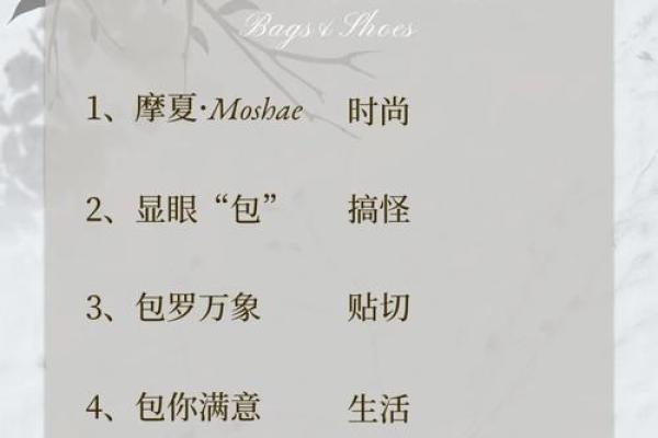 卖鞋公司取什么名字(卖鞋好听的店名大全)