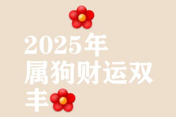 2025狗年结婚吉日(2020年属狗结婚吉日)