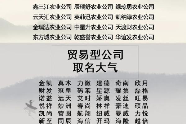 汽车贸易公司名字(汽车贸易公司名字3个字)